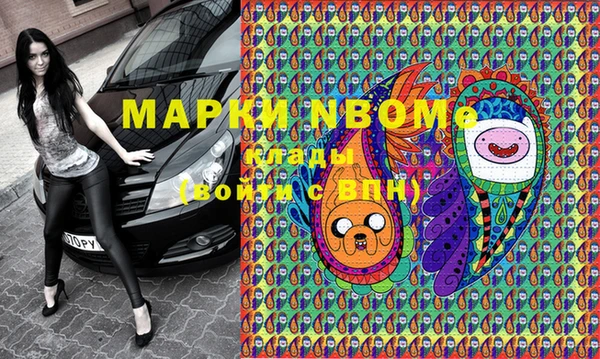шишки Алзамай